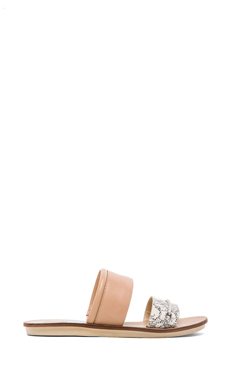 Dolce Vita Neary Sandal in Nude
