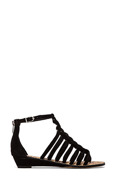 Sam Edelman Dakota Sandal in Black
