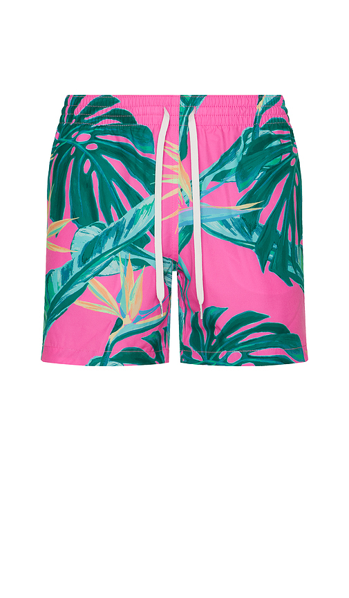 The Birds Of Paradise 5.5 Swim Short en . Taille M. Also en S - Chubbies - Modalova