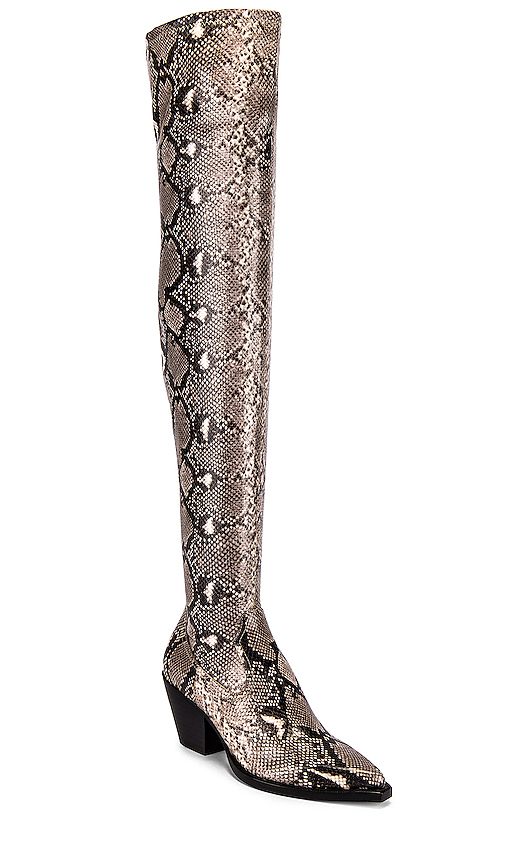 Dolce Vita Suri Boots in Black