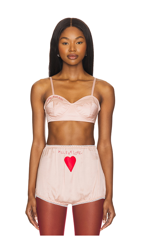 FIORUCCI Embroidered Satin Heart Bralette in Rose. Size L. Also in XS, M.