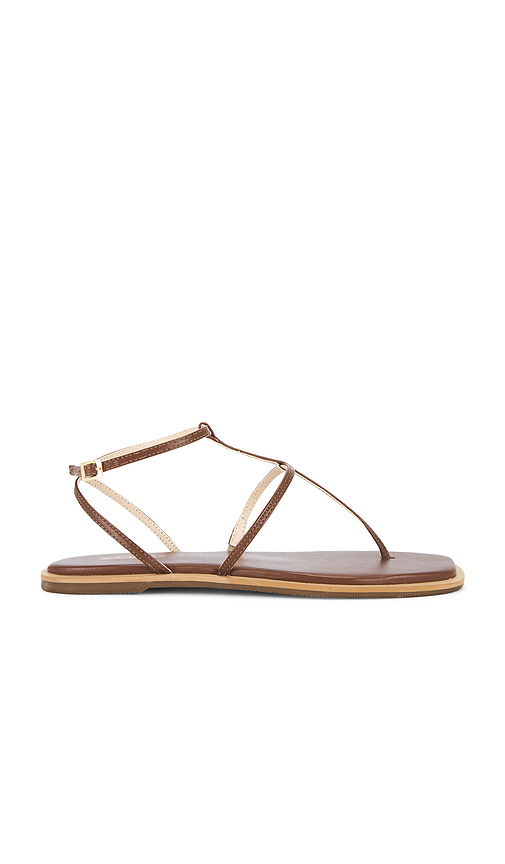 Kaanas Aisha Strappy Gladiator Sandal in Tan. Size 10. Also in 11, 7, 8, 9.