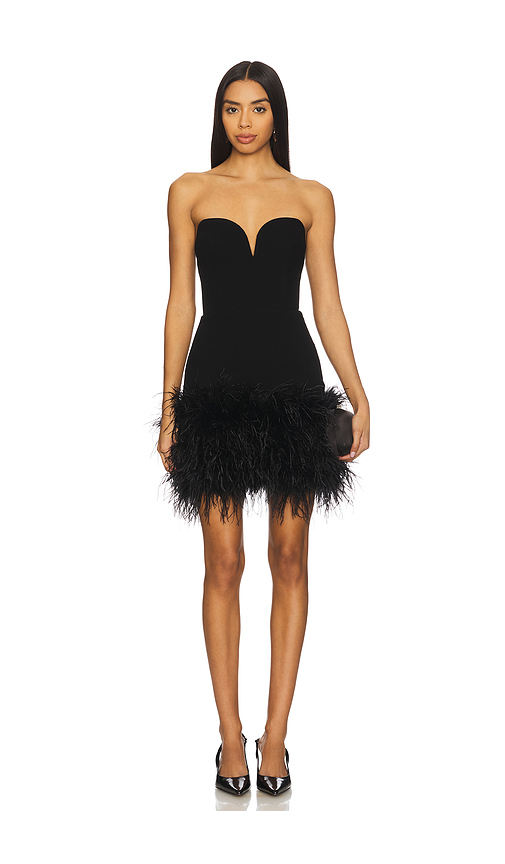 SANS FAFF Posey Mini Feather Dress in Black. Size S. Also in M.