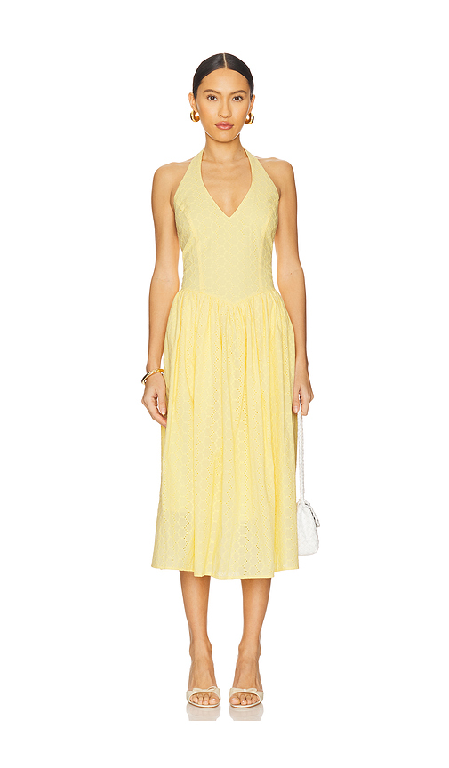 ROBE RESSI en . Taille L. Also en M, S, XL, XS - Steve Madden - Modalova