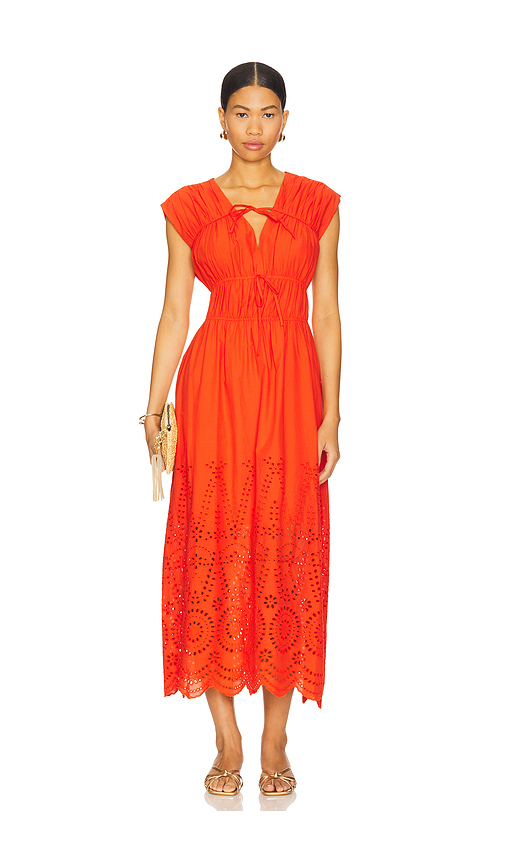 ROBE CLEMENTINA en . Taille L. Also en M, S, XL, XS - Steve Madden - Modalova