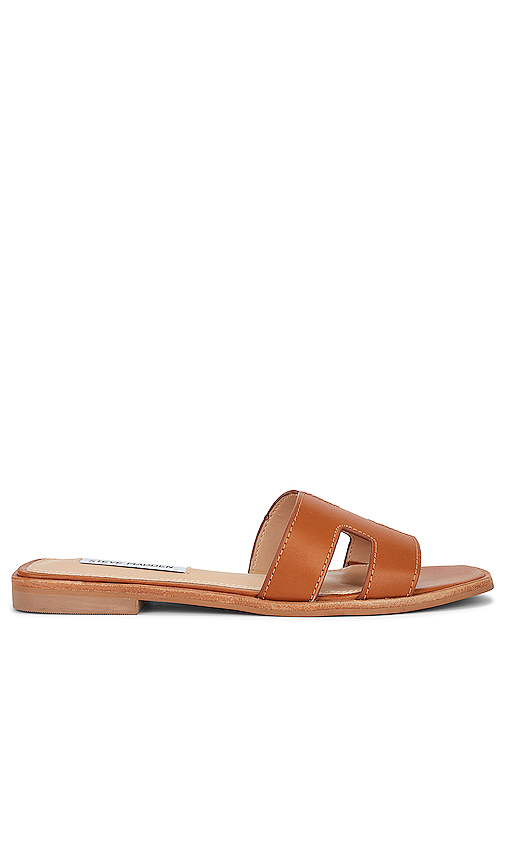 NU-PIED HADYN en . Taille 10. Also en 5, 5.5, 6, 6.5, 7.5, 8.5, 9, 9.5 - Steve Madden - Modalova