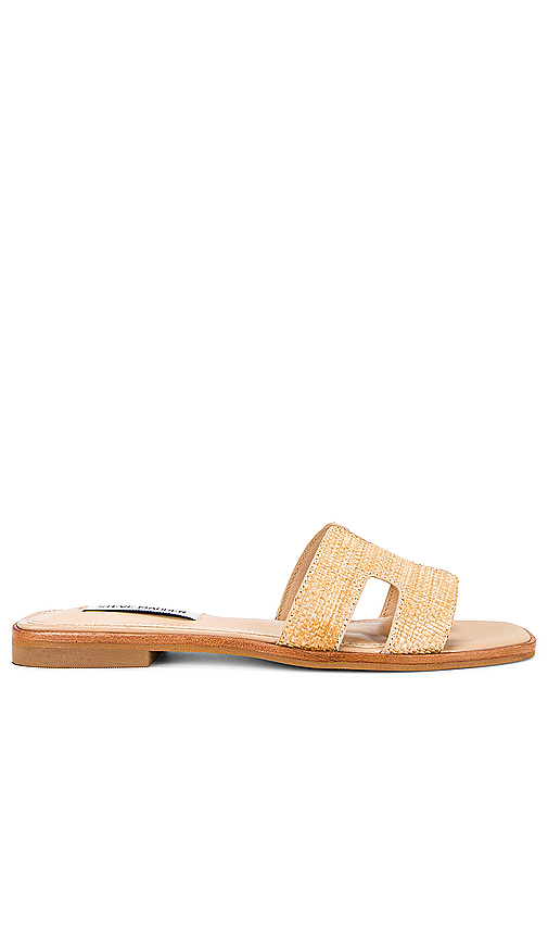 Hadyn Sandal in . Size 6. Also in 6.5, 7.5 - Steve Madden - Modalova
