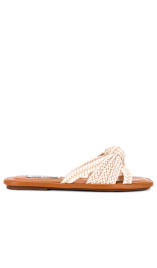 Kandace Sandal in . Size 6. Also in 6.5 - Steve Madden - Modalova