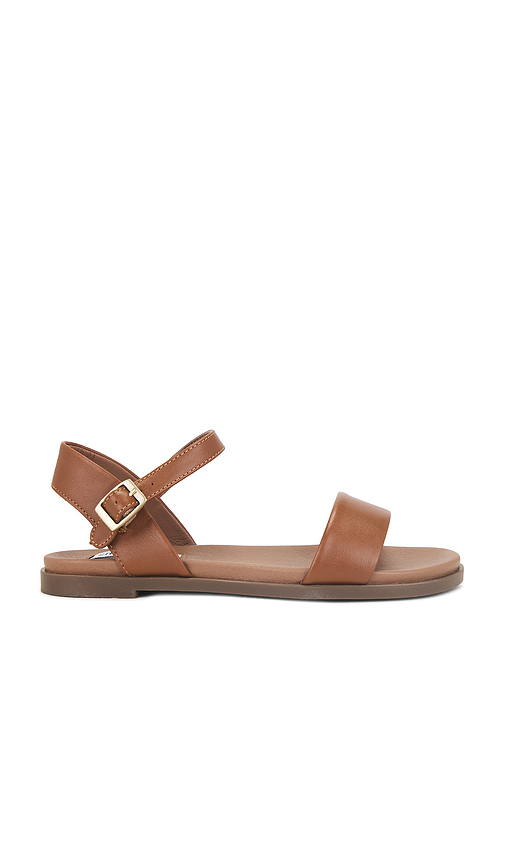 Steve Madden Dina Sandal in Brown. Size 8.5. Also in 10, 6, 6.5, 7, 7.5, 8, 9.5.