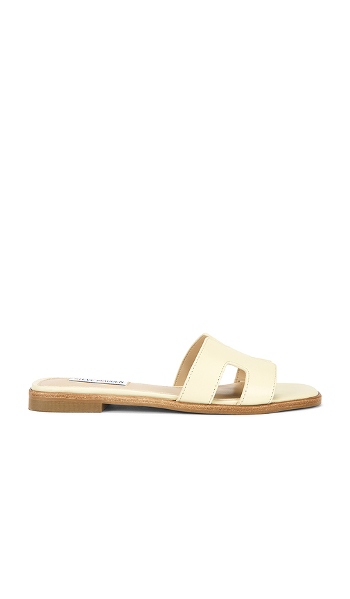 SANDALES HADYN en . Taille 6. Also en 6.5, 10 - Steve Madden - Modalova