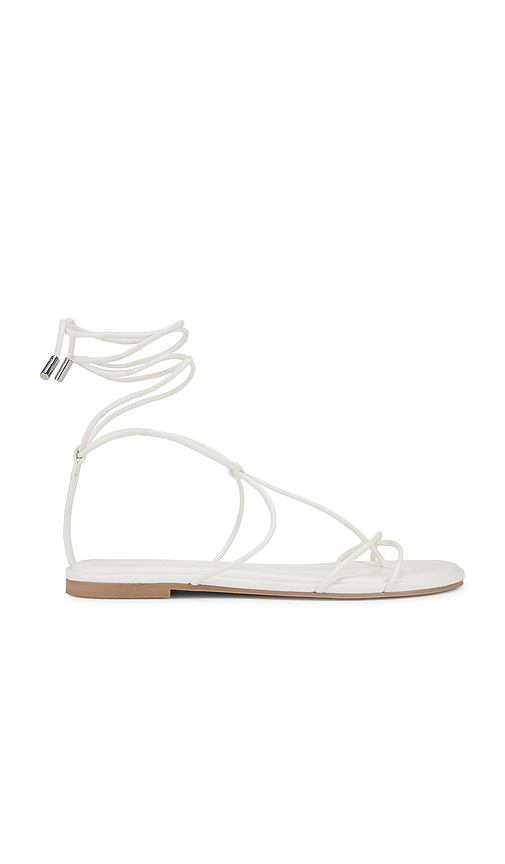 SANDALES MYRTLE en . Taille 6. Also en 6.5, 7, 7.5, 8, 8.5, 9 - Steve Madden - Modalova