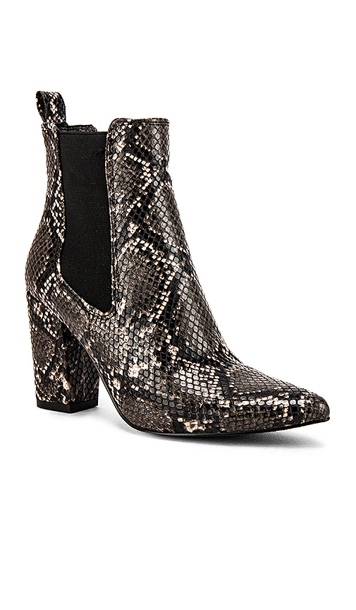 Steve Madden Subtle Ankle Bootie in Gray