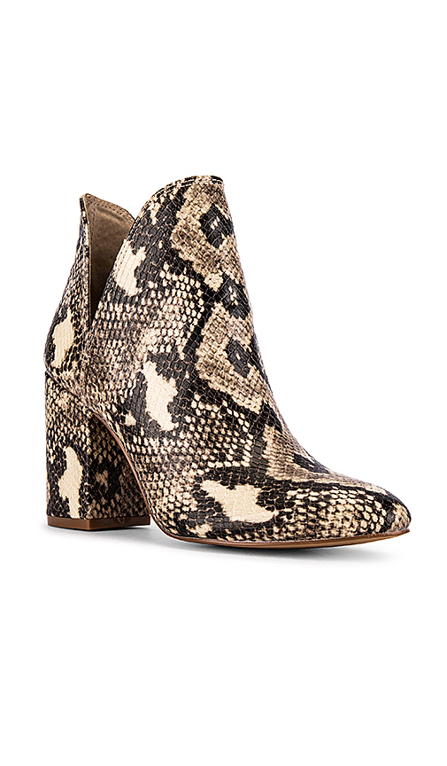 Steve Madden Rookie Bootie in Brown,Cream