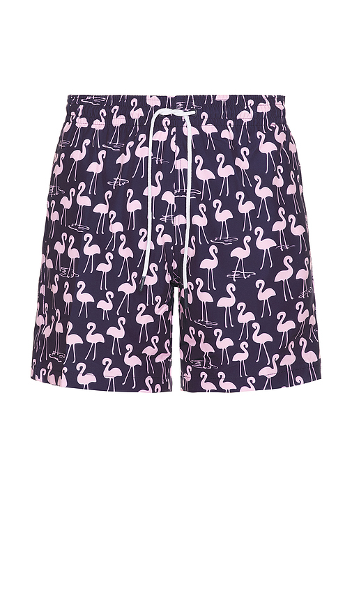 SHORT DE BAIN SANO en . Taille L. Also en M, S - Trunks Surf & Swim Co. - Modalova