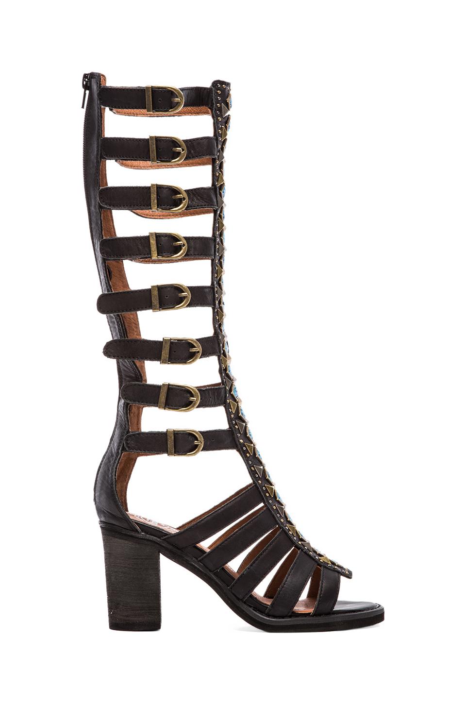 Jeffrey Campbell Badu Embellished Gladiator Sandal in Black | REVOLVE