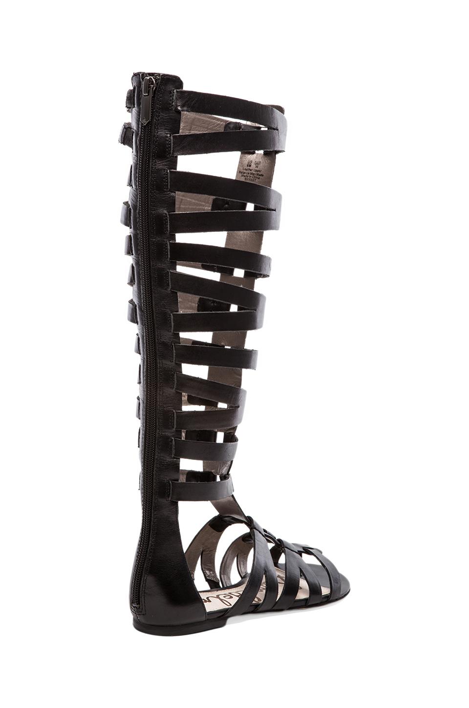 Sam Edelman Bryant Gladiator Sandal in Black | REVOLVE